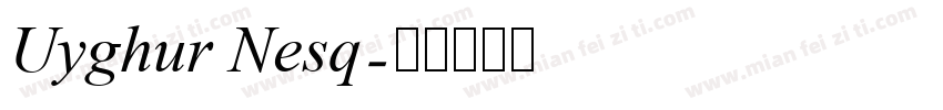 Uyghur Nesq字体转换